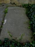 image number S6300073